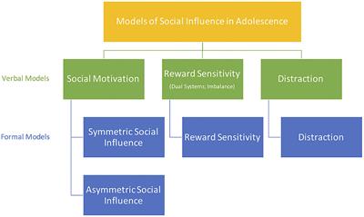 Social Influence in Adolescent Decision-Making: A Formal Framework